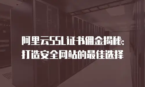 阿里云SSL证书佣金揭秘：打造安全网站的最佳选择