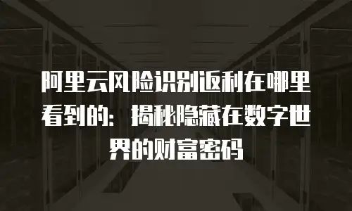 阿里云风险识别返利在哪里看到的：揭秘隐藏在数字世界的财富密码