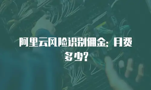 阿里云风险识别佣金: 月费多少?