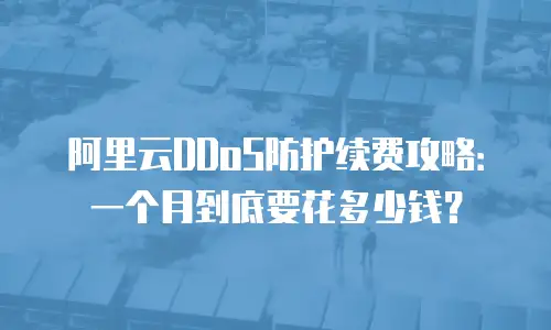 阿里云DDoS防护续费攻略：一个月到底要花多少钱？