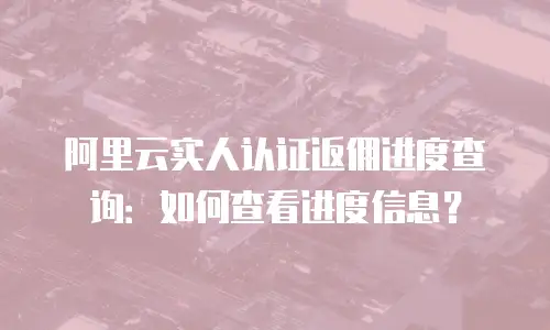 阿里云实人认证返佣进度查询：如何查看进度信息？