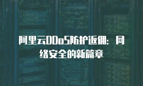 阿里云DDoS防护返佣：网络安全的新篇章