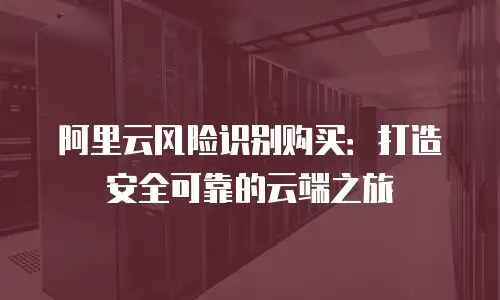 阿里云风险识别购买：打造安全可靠的云端之旅