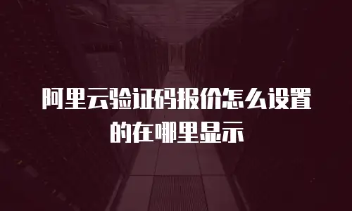 阿里云验证码报价怎么设置的在哪里显示