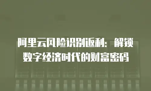阿里云风险识别返利：解锁数字经济时代的财富密码