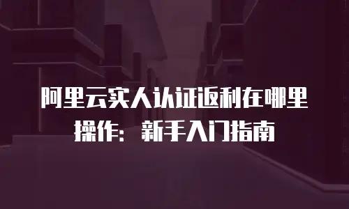阿里云实人认证返利在哪里操作：新手入门指南