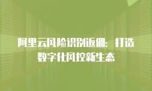 阿里云风险识别返佣：打造数字化风控新生态