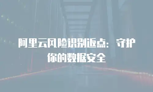 阿里云风险识别返点：守护你的数据安全
