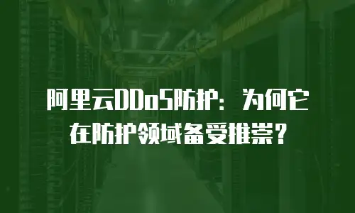 阿里云DDoS防护：为何它在防护领域备受推崇？