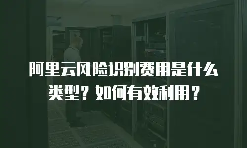 阿里云风险识别费用是什么类型？如何有效利用？