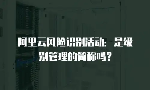 阿里云风险识别活动：是级别管理的简称吗？