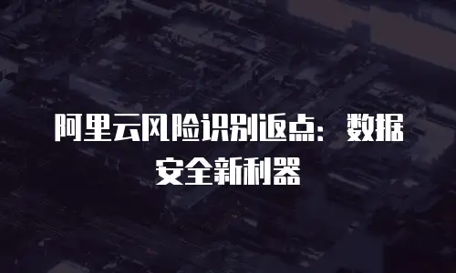 阿里云风险识别返点：数据安全新利器