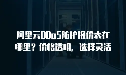 阿里云DDoS防护报价表在哪里？价格透明，选择灵活