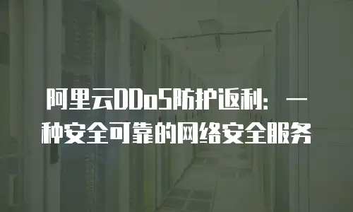 阿里云DDoS防护返利：一种安全可靠的网络安全服务