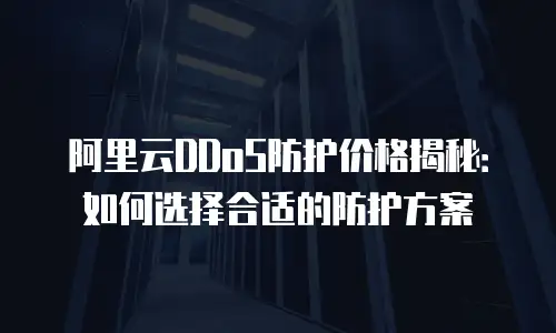 阿里云DDoS防护价格揭秘：如何选择合适的防护方案