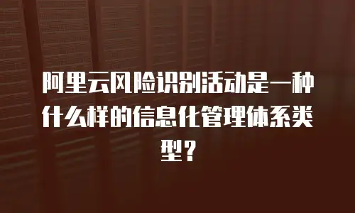阿里云风险识别活动是一种什么样的信息化管理体系类型？