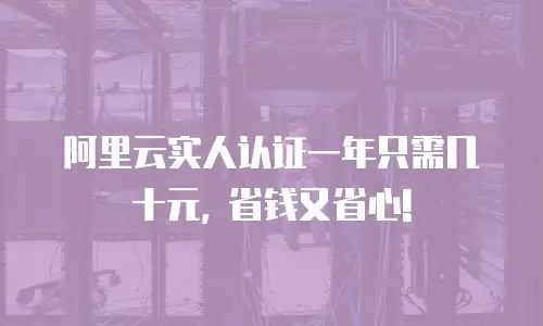 阿里云实人认证一年只需几十元, 省钱又省心!
