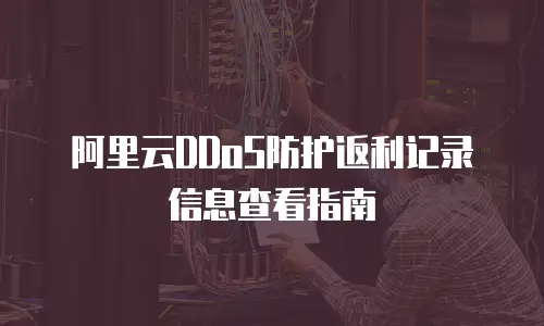 阿里云DDoS防护返利记录信息查看指南