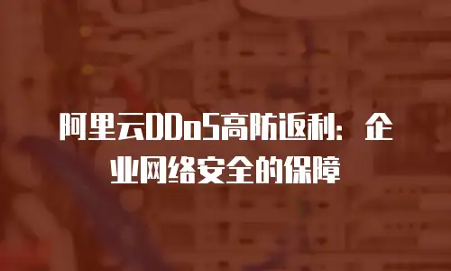 阿里云DDoS高防返利：企业网络安全的保障