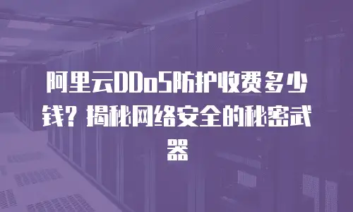 阿里云DDoS防护收费多少钱？揭秘网络安全的秘密武器