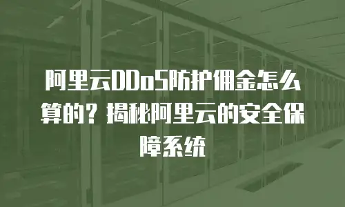 阿里云DDoS防护佣金怎么算的？揭秘阿里云的安全保障系统
