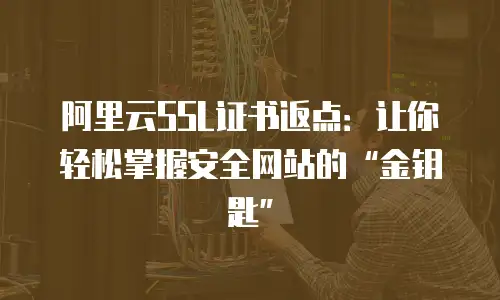 阿里云SSL证书返点：让你轻松掌握安全网站的&ldquo;金钥匙&rdquo;