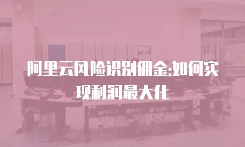 阿里云风险识别佣金:如何实现利润最大化