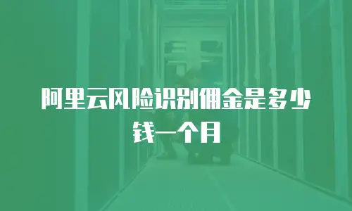 阿里云风险识别佣金是多少钱一个月