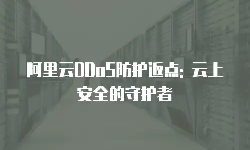 阿里云DDoS防护返点: 云上安全的守护者