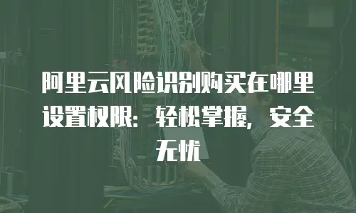 阿里云风险识别购买在哪里设置权限：轻松掌握，安全无忧