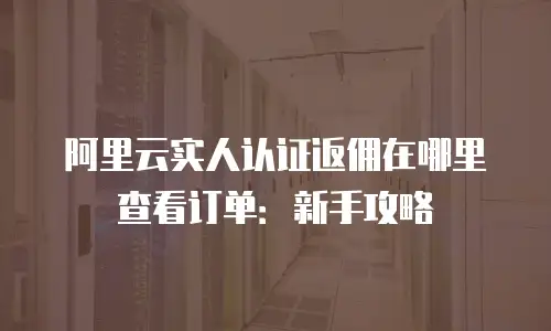 阿里云实人认证返佣在哪里查看订单：新手攻略