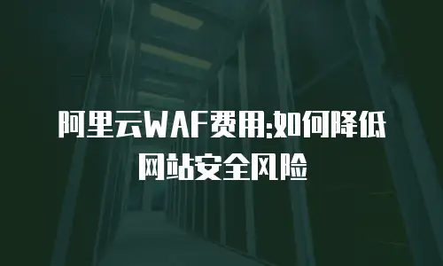 阿里云WAF费用:如何降低网站安全风险