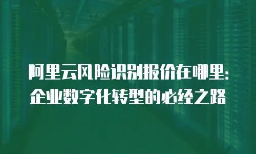 阿里云风险识别报价在哪里：企业数字化转型的必经之路