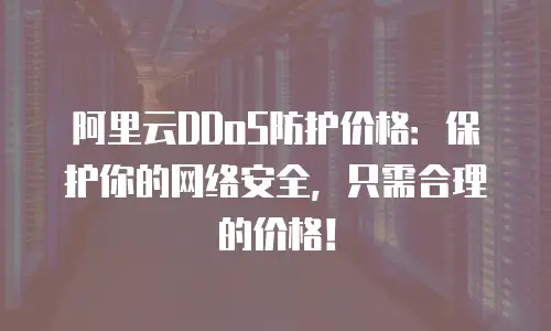 阿里云DDoS防护价格：保护你的网络安全，只需合理的价格！