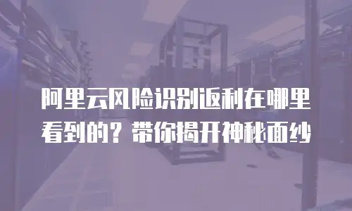 阿里云风险识别返利在哪里看到的？带你揭开神秘面纱