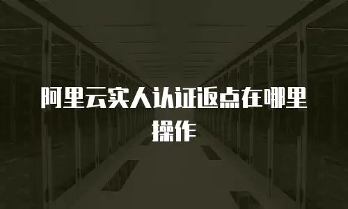 阿里云实人认证返点在哪里操作