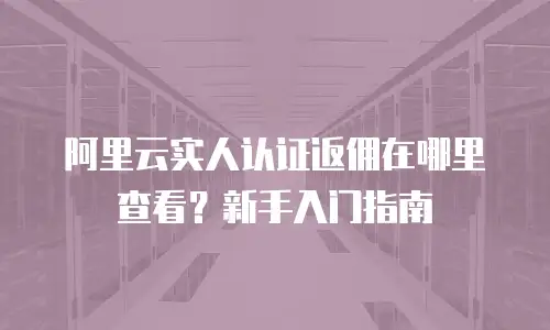 阿里云实人认证返佣在哪里查看？新手入门指南