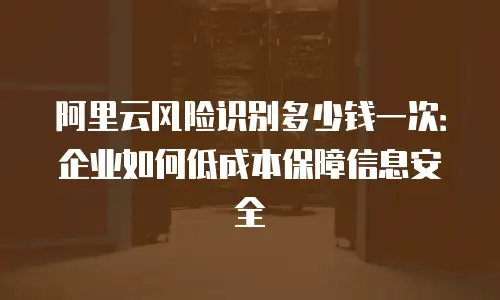 阿里云风险识别多少钱一次：企业如何低成本保障信息安全