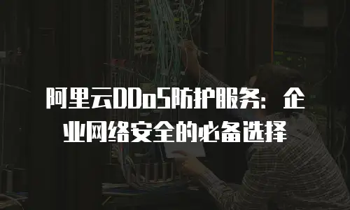阿里云DDoS防护服务：企业网络安全的必备选择