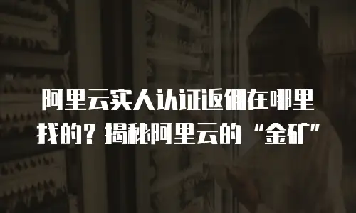 阿里云实人认证返佣在哪里找的？揭秘阿里云的“金矿”