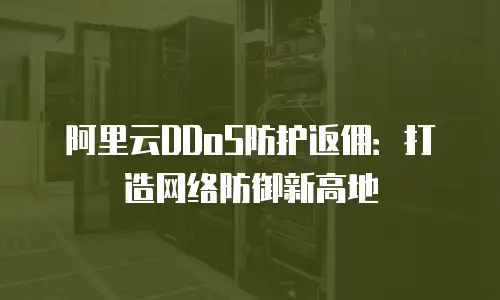 阿里云DDoS防护返佣：打造网络防御新高地