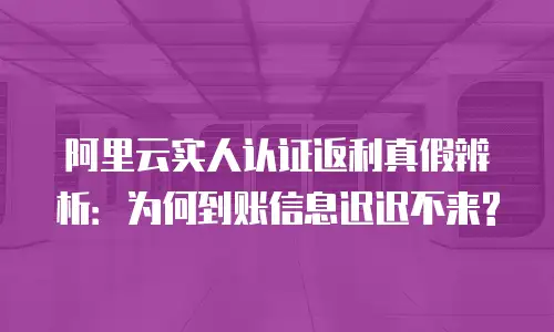 阿里云实人认证返利真假辨析：为何到账信息迟迟不来?