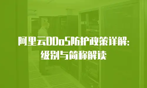 阿里云DDoS防护政策详解：级别与简称解读