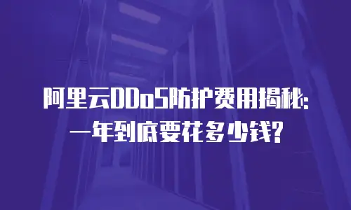 阿里云DDoS防护费用揭秘:一年到底要花多少钱?