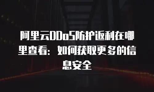 阿里云DDoS防护返利在哪里查看：如何获取更多的信息安全