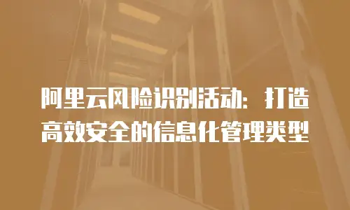 阿里云风险识别活动：打造高效安全的信息化管理类型