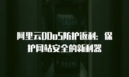 阿里云DDoS防护返利：保护网站安全的新利器
