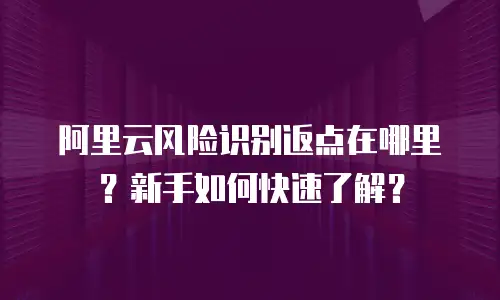 阿里云风险识别返点在哪里？新手如何快速了解？