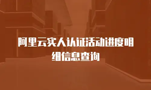 阿里云实人认证活动进度明细信息查询