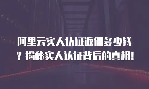 阿里云实人认证返佣多少钱？揭秘实人认证背后的真相！